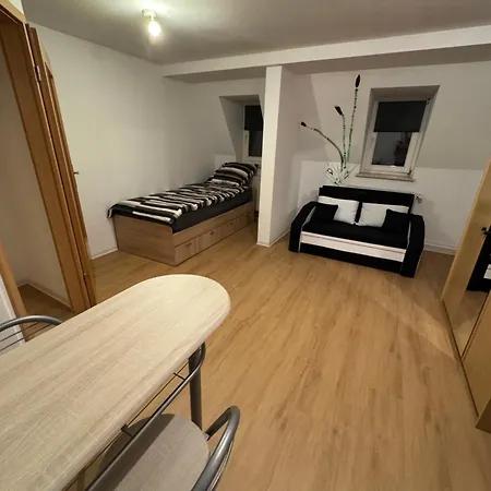 2-raum Zentrumsnah Апартаменты Плауэн