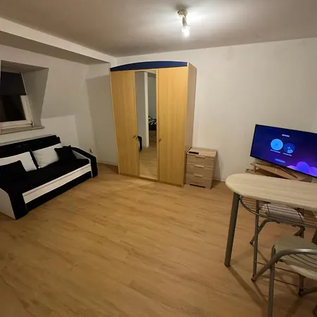 2-raum Zentrumsnah Плауэн